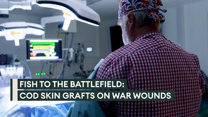 How a veteran Army surgeon is using fish skin to heal battlefield wounds 
