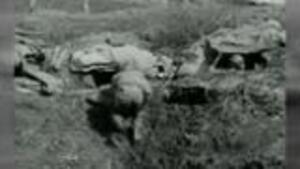 America's WWII: Beachhead Anzio