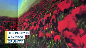 The poppy is a symbol of unity, Poppy Appeal director says
