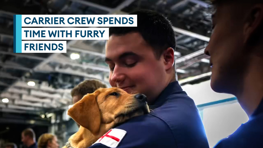 Video Thumbnail