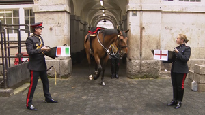 We Ask Military Animals For Their Euro 2020 Final Predictions