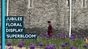 Tower of London floral display to honour the Queen's Platinum Jubilee