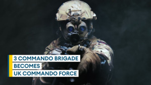 Former head of the Royal Marines comments on renaming of 3 Commando Brigade