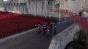 Beautiful Drone Footage of Ceramic Poppies at the Tower of London