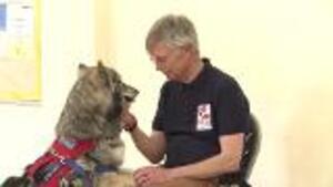 Service Dogs Help Veterans With PTSD