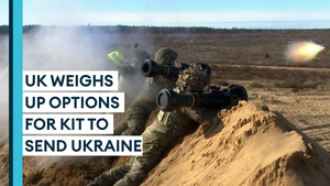 How UK 'lethal aid' could help Ukraine's defence