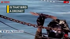 Could the bird above your airbase be a spy drone?