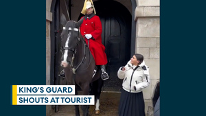 King's Guard yells at tourist trying to grab the reins of his horse