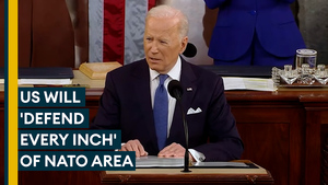US and allies will 'defend every inch' of NATO territory, President Biden says