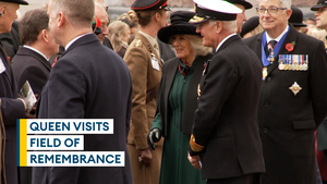 Queen visits Field of Remembrance at Westminster Abbey