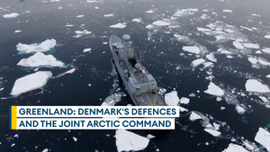 Greenland: Who and what is defending it? 