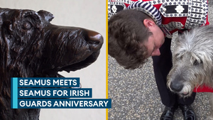 Irish Guards mascot Seamus gets his own sculpture