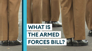 Armed Forces Bill: What will it do and how will it work?