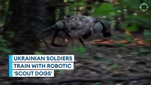 Robo-dog: Ukraine's four-legged scout