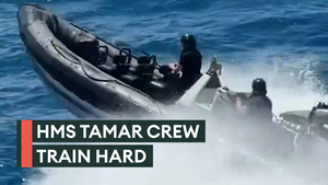 Dolphins spotted as crew from HMS Tamar conduct training in Australia 