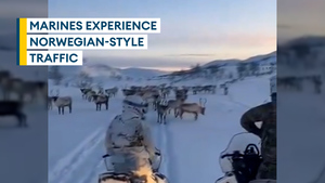 Royal Marines suffer traffic jam – Norwegian-style