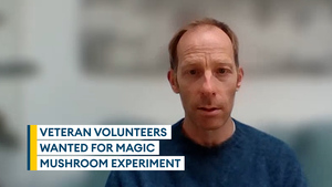 Could magic mushrooms ease veteran gambling addiction?