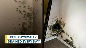 Mouldy military home is making us ill, says Army spouse