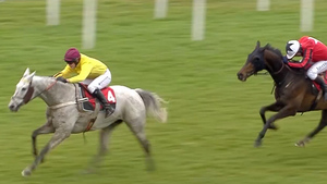 From Sandhurst to Sandown: Meet The Veteran Training Cheltenham's Top Animals