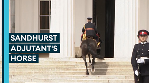 The stories behind a famous Sovereign's Parade tradition