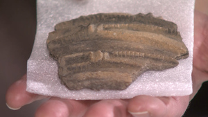 Salisbury Plain Excavated Plain As Part Of Rebasing Programme