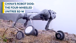 Four-wheeled friend: China unveils robotic Rover