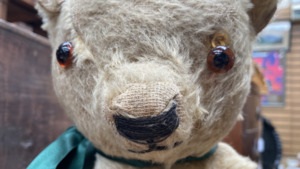 Blitzy The Bear: Meet The Manchester Blitz Survivor Found In A Loft After Decades