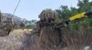 Exercise Lion Star
