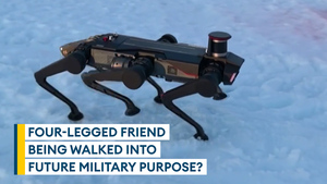 China's robot dog: A puppy of potential for the military?