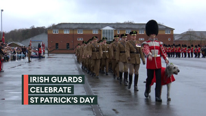 Celebrating St Patrick's Day with the Irish Guards and their regimental mascot