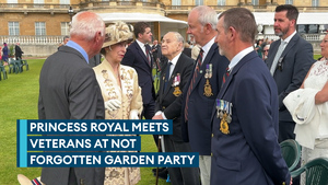 Princess Anne speaks to veterans at Buckingham Palace garden party