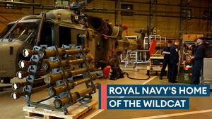 815 Naval Air Squadron: The home of the Wildcat