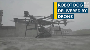 China goes 'Black Mirror' with robotic dog equipped with machine gun