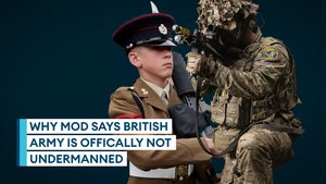 Army may be small but it's not understaffed, figures show