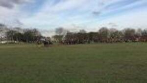 Inspection Time: King's Troop RHA Strut Stuff In Colourful Display 2