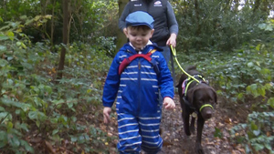 Meet The Assistance Dog Helping A Forces Child Through Autism