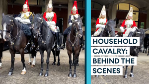 Military horsepower: Behind the scenes with the Household Cavalry