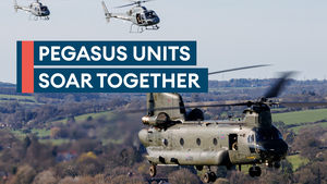 Pegasus Exchange: Allies that fly together can fight together