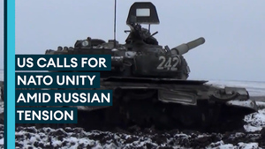 US calls for NATO unity as Russia tensions build