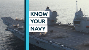 Know Your Navy: The Service's Ships And Subs