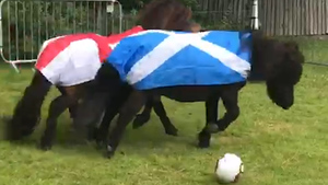 Euro 2020: Royal Regiment Of Scotland Prepares For England vs Scotland