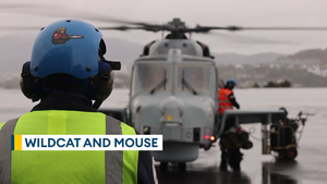 Wildcat helicopters evade P2000s on Ex Tamber Shield