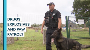 Meet The MOD Police Dogs Sniffing Out Crime For UK Defence