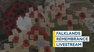How to watch Remembrance Sunday service live from the Falkland Islands