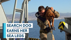 Army explosives team's search dog earns her sea legs