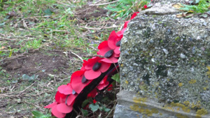 Armistice Day: Commemorations Held Across UK And Overseas