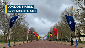 Nato's 75th anniversary marked by flags lining the Mall