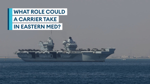 Don't send a carrier for carrier's sake, argues ex-RN officer