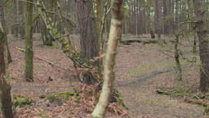 Respect the Range: MOD Urges Public To Tread Carefully On Training Grounds
