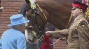 The Queen Meets Big Red, The Newest Drum Horse
